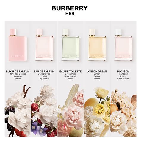 burberry summer 2014 parfum|burberry brit for her 3.3.